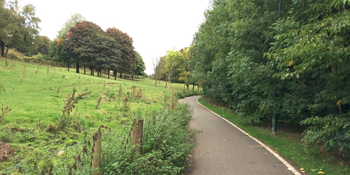 Bathpool Park Cycle Lane