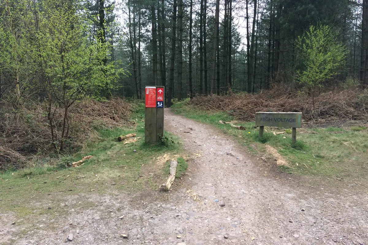 Start of 'High Voltage' section on Follow the Dog Trail