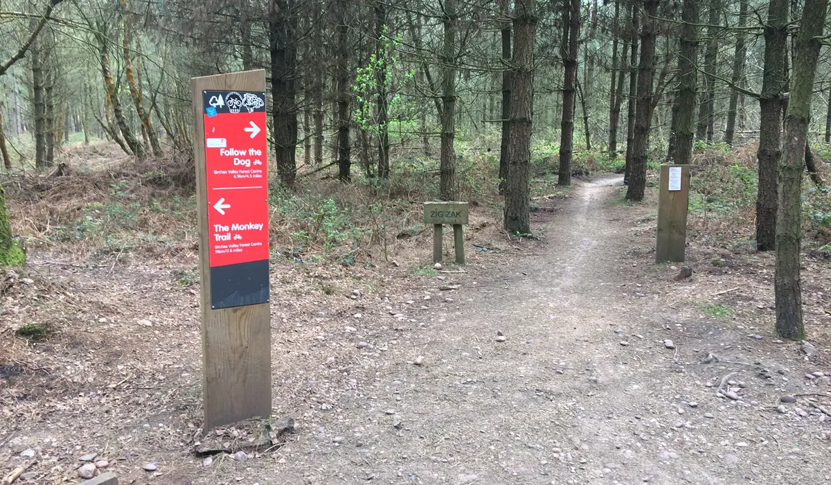 Cannock Chase Trails | Split-off point for the Monkey Trail