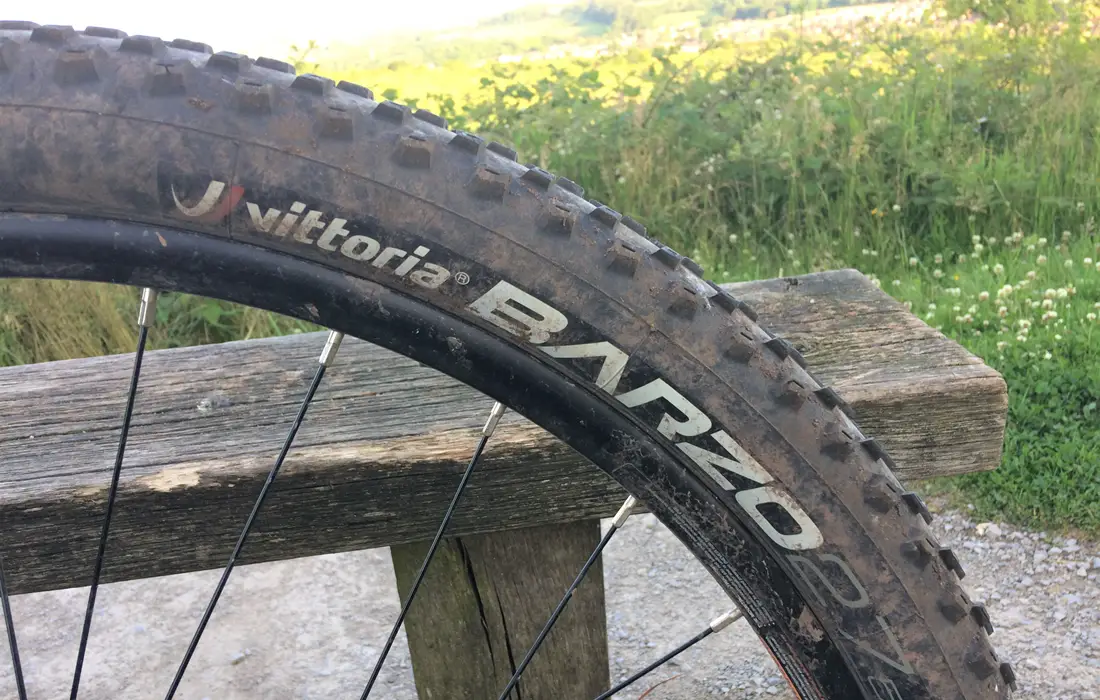 Vittoria Barzo | Best all-round MTB tyre