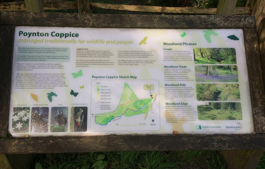 Poynton Coppice Nature reserve Information Board