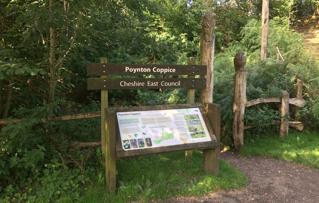 Poynton Coppice Nature reserve
